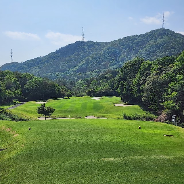 Takagawa Shinkotonnami Golf Club - Photo 9