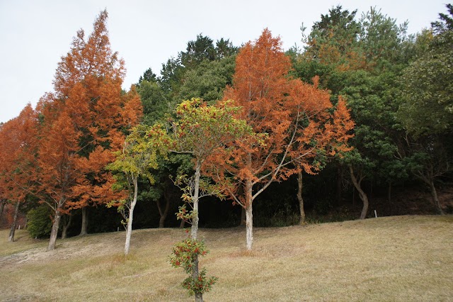 Takagawa Shinkotonnami Golf Club - Photo 8