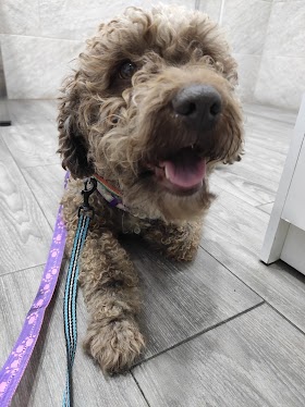 Clínica Veterinaria La Unión