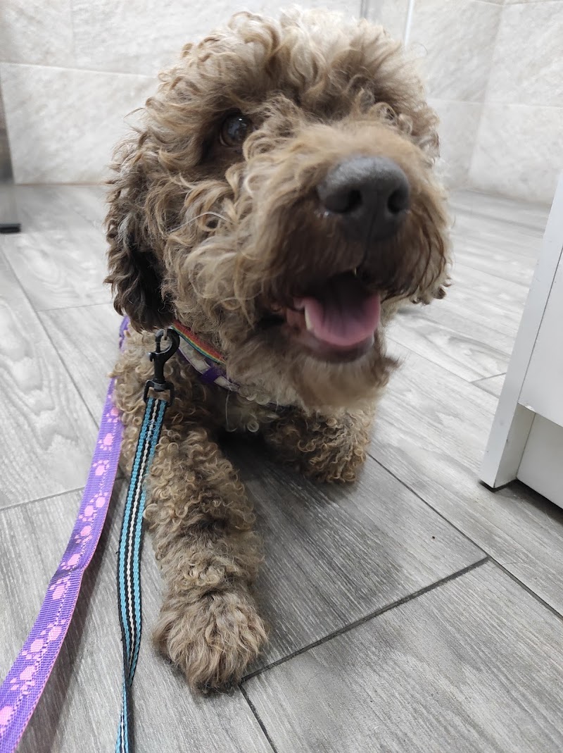 Clínica Veterinaria La Unión