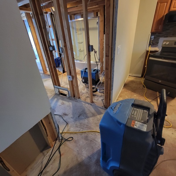 Absolute Water Damage and Mitigation — photo