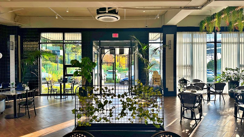 광교의 숨겨진 보석, 파스타 한 접시로 완성하는 완벽한 주말