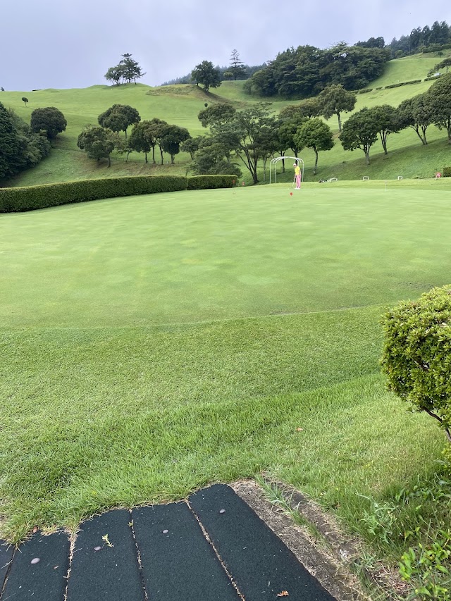 Odawara Castle Country Club - Photo 10