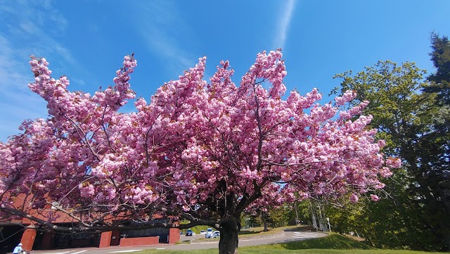 Hitsujigaoka Country Club - Photo 10