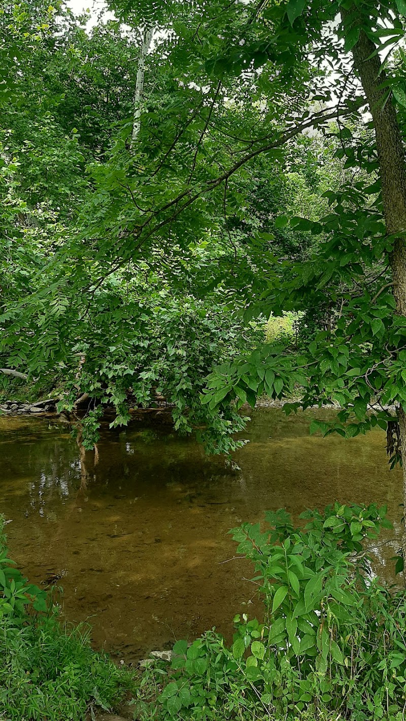 Covered Bridge Disc Golf Course photo 4