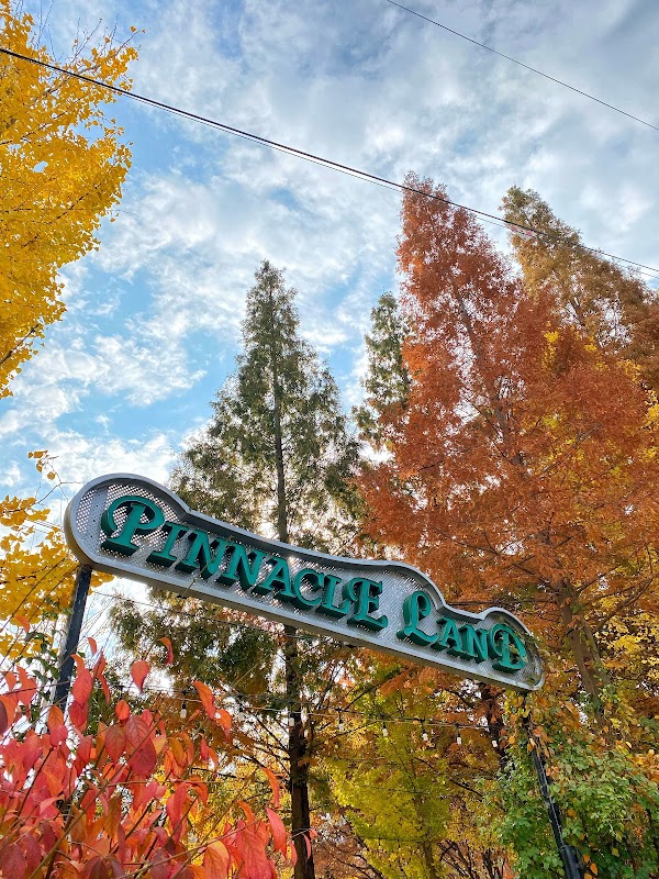 Pinnacle Land 1