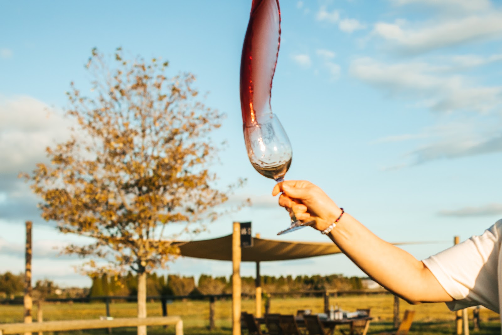 RG / NY Winery 