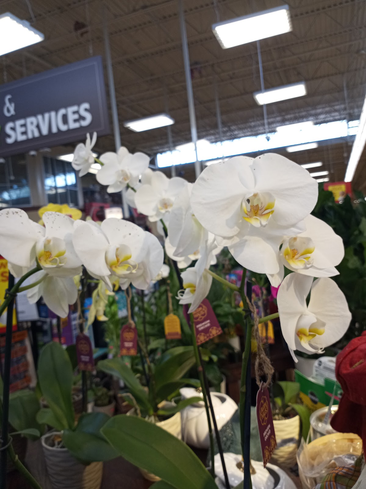 BAKERS BLACK TIE FLORIST: Google Places image 5