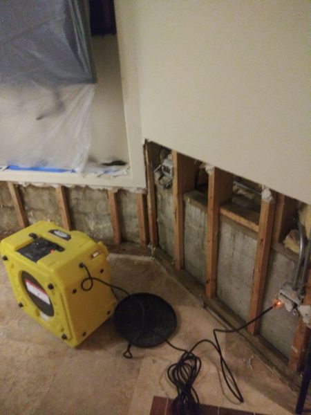 Simply Mold Gone — photo
