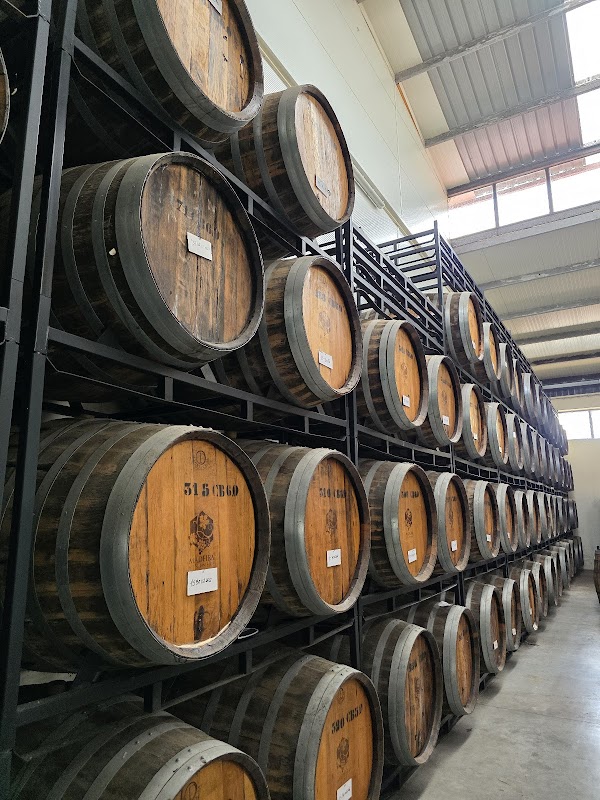 Madeira Vintners