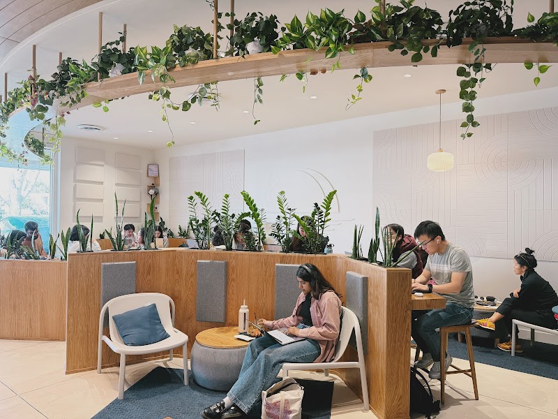 Moonwake Coffee Roasters photo 4