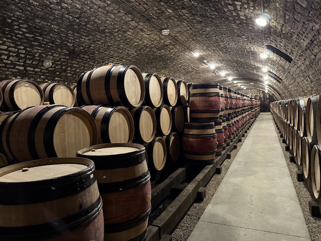 Caveau Moillard Nuits-Saint-Georges