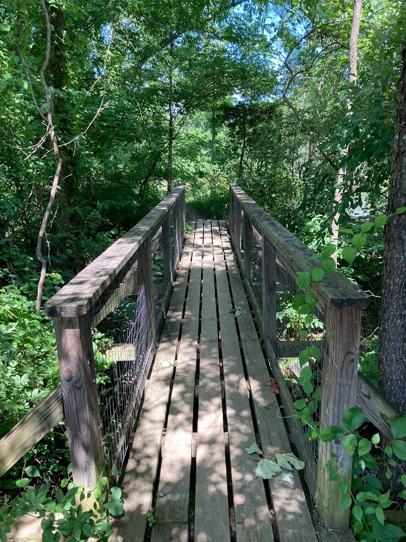 Roanoke Disc Golf photo 1