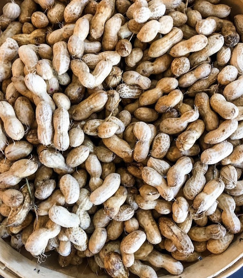 Farmer's Table photo 2