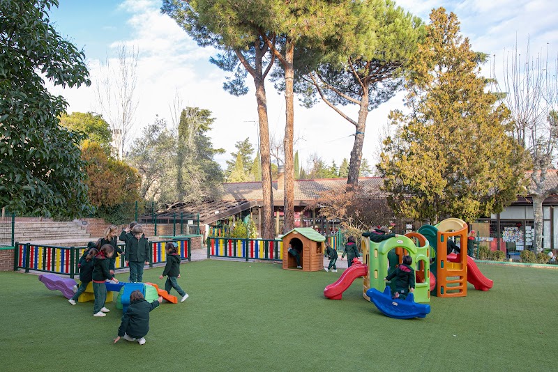 Dallington School Sl