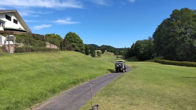 Kingdom Golf Club - Photo 8