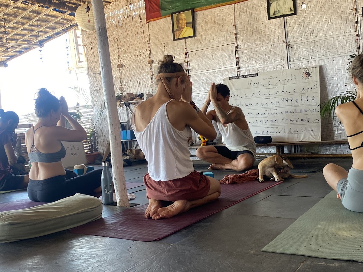 Drishti Yoga International Registered Yoga School — 3