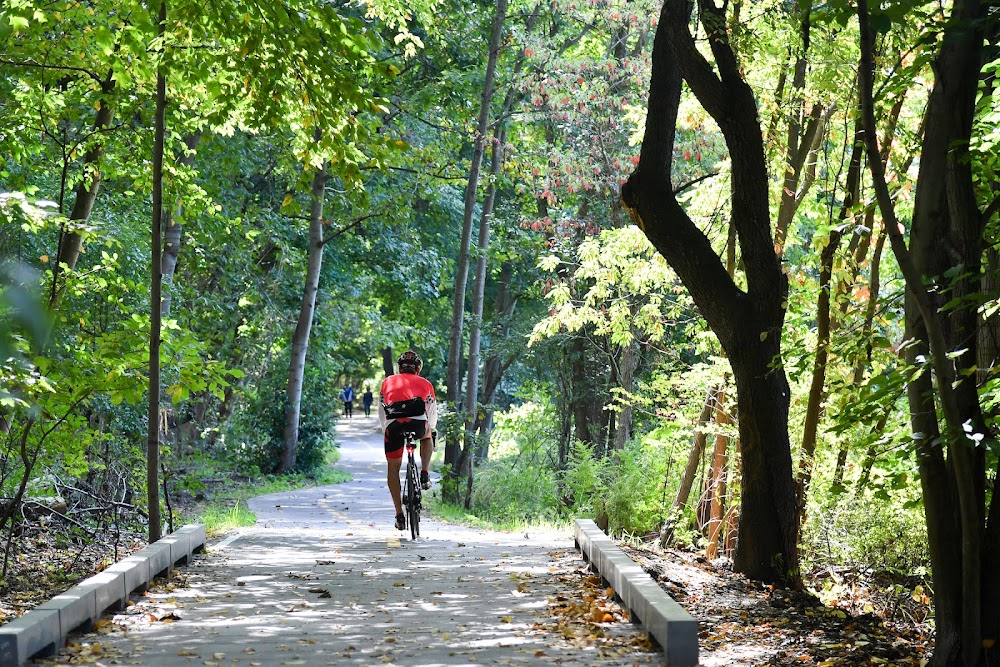 Van Cortlandt Park fotoğraf 1