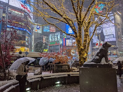 Hachiko Statue - 6