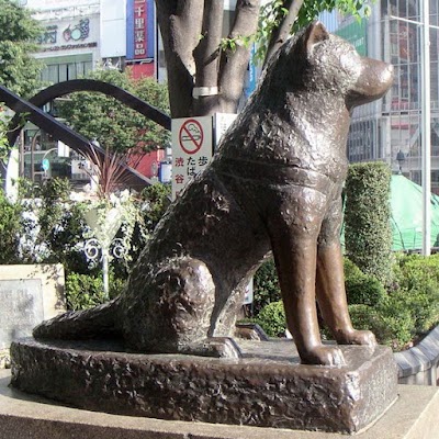 Hachiko Statue - 1