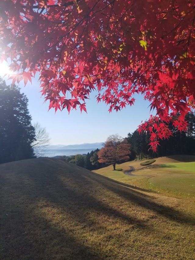 Roland Golf Club - Photo 4