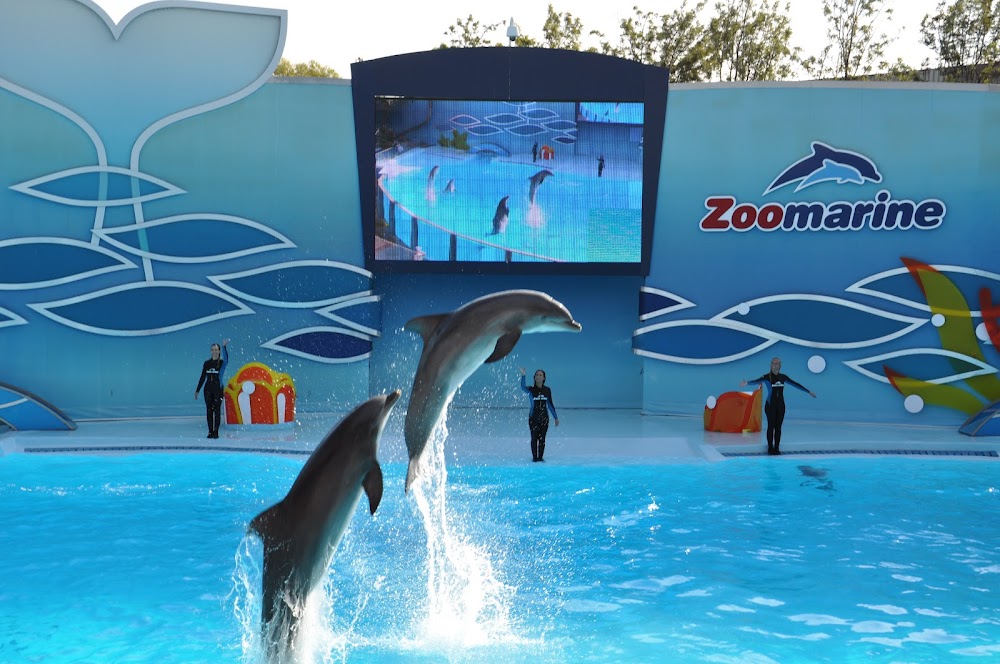 Zoomarine Algarve fotoğraf 1