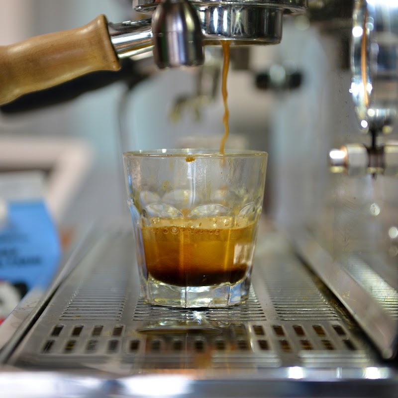 Borealis Coffee Company photo 2