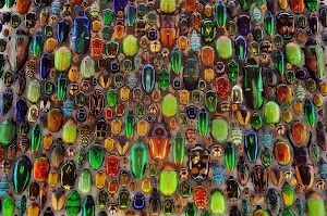 Montreal Insectarium