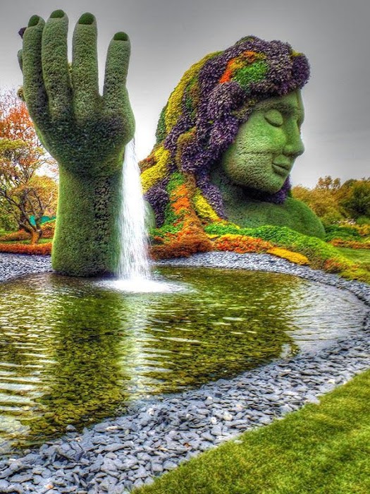 Jardin botanique de Montréal fotoğraf 1