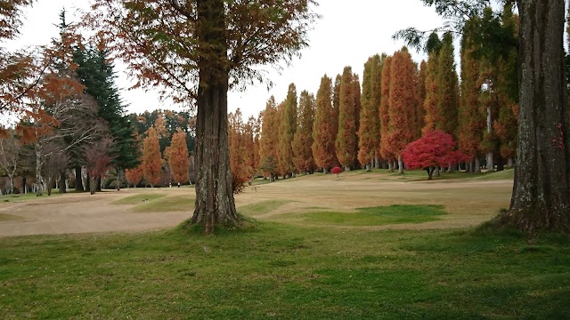 Hotaka Country Club - Photo 3