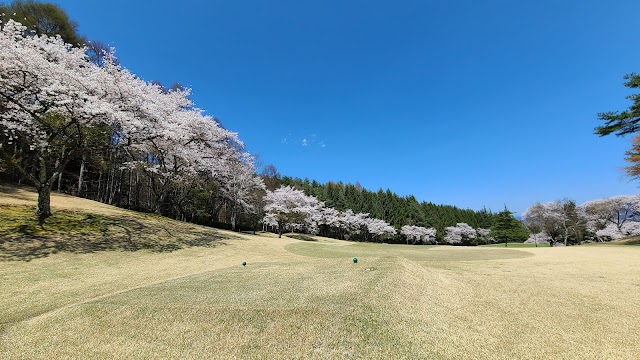 Hotaka Country Club - Photo 8