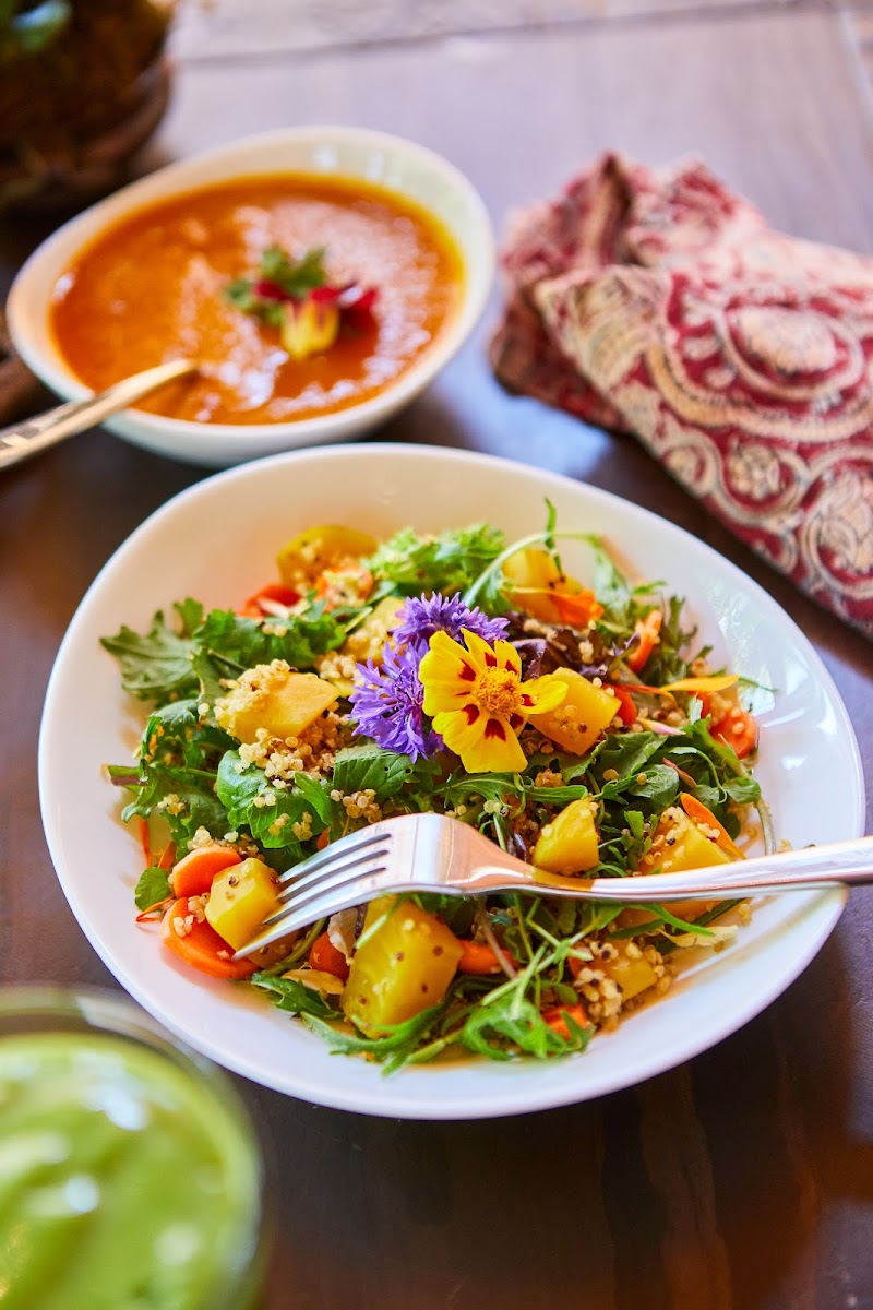 True Nature Cafe photo 4