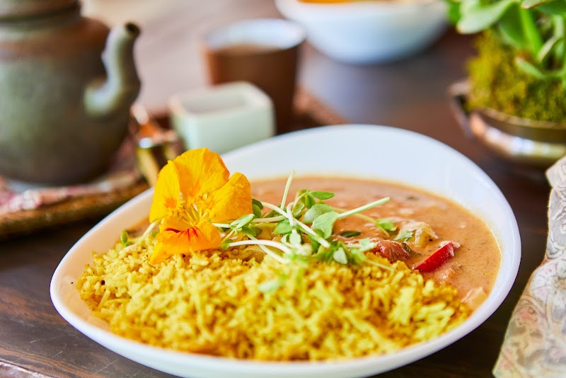 True Nature Cafe photo 2