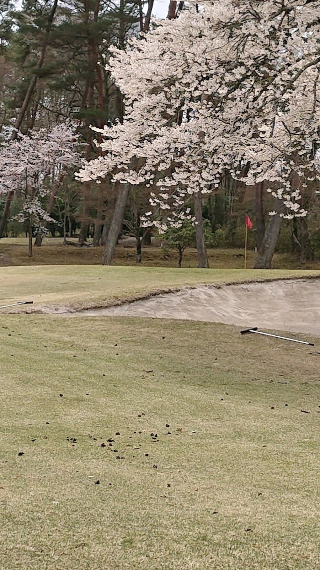 Bitchu Kogen Hokubo Country Club - Photo 9