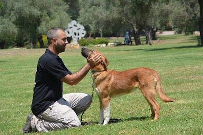 מאולפים בשזור
