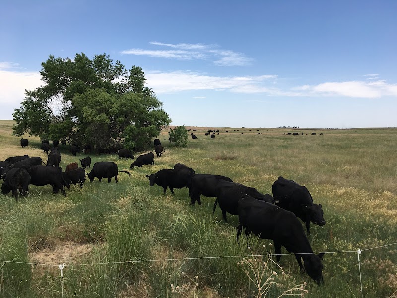 Flying B Bar Ranch Mercantile - Photo 1