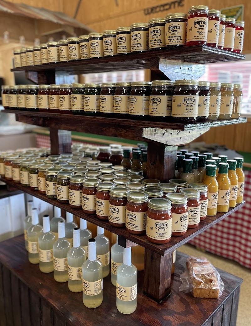 Poppell Farms - Photo 2