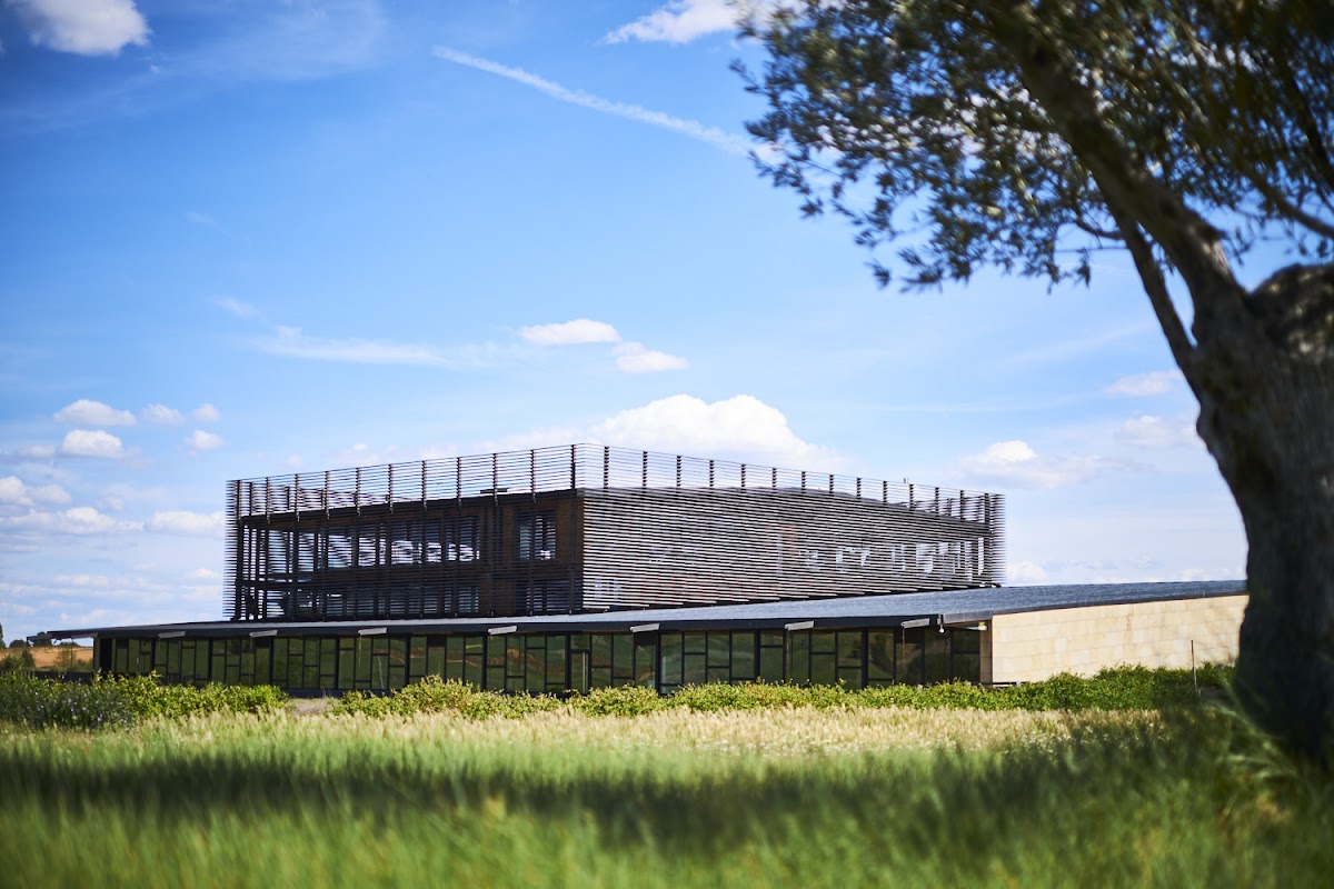 Bodega Bela - Ribera del Duero