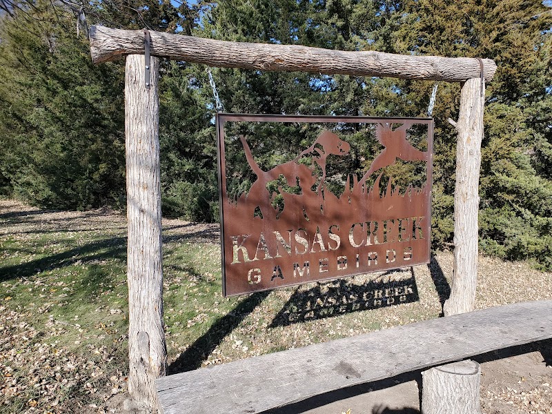 Kansas Creek Gamebirds - Photo 2