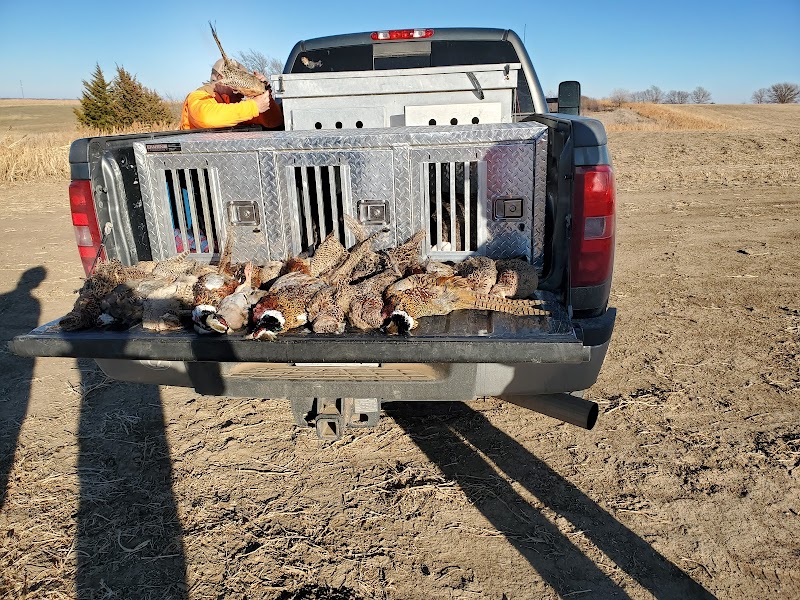 Kansas Creek Gamebirds - Photo 1