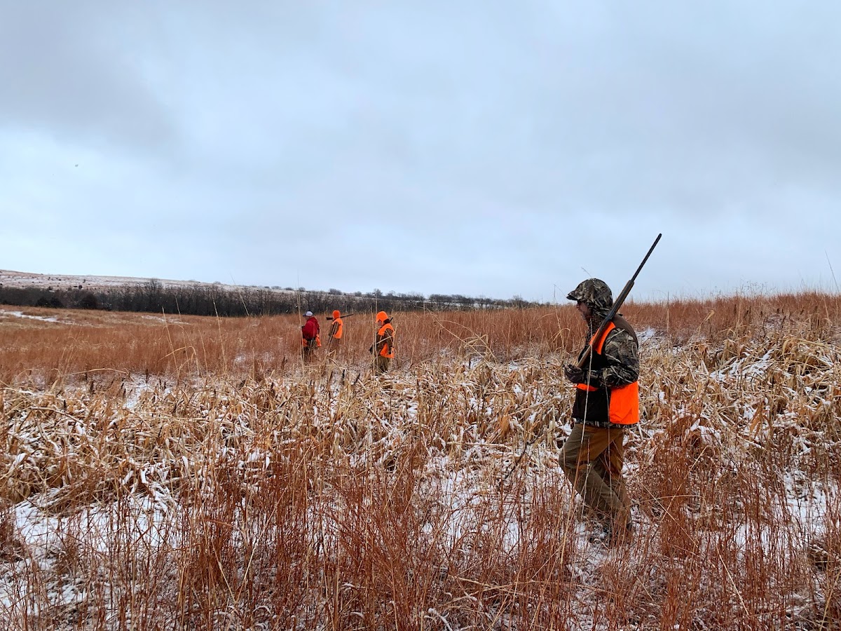 Kansas Creek Gamebirds