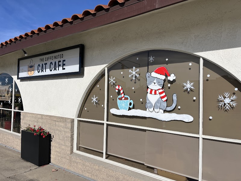 The Caffeinated Cat Cafe