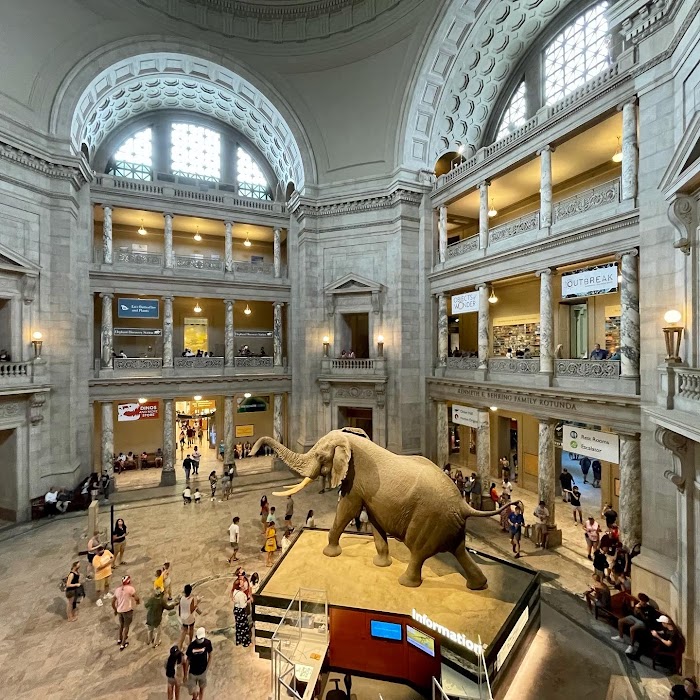 Smithsonian National Museum of Natural History fotoğraf 1