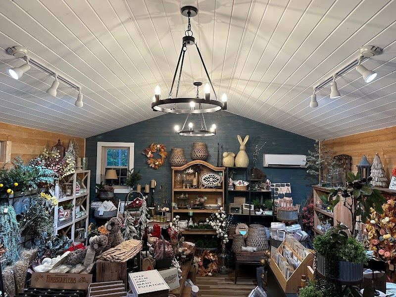 Ace Handyman Services