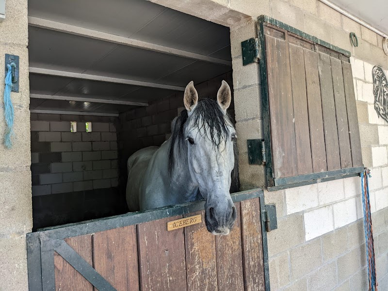 Centro Hípico Midimar