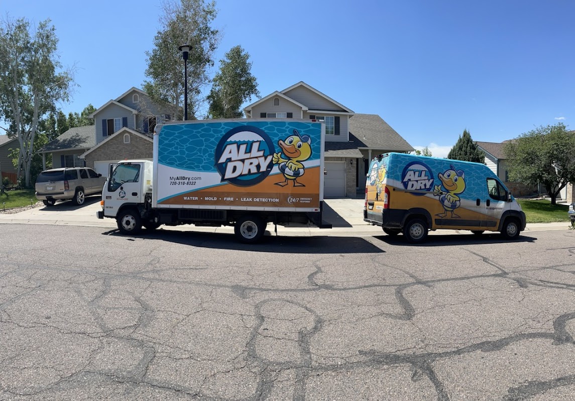 All Dry Services of Denver — photo
