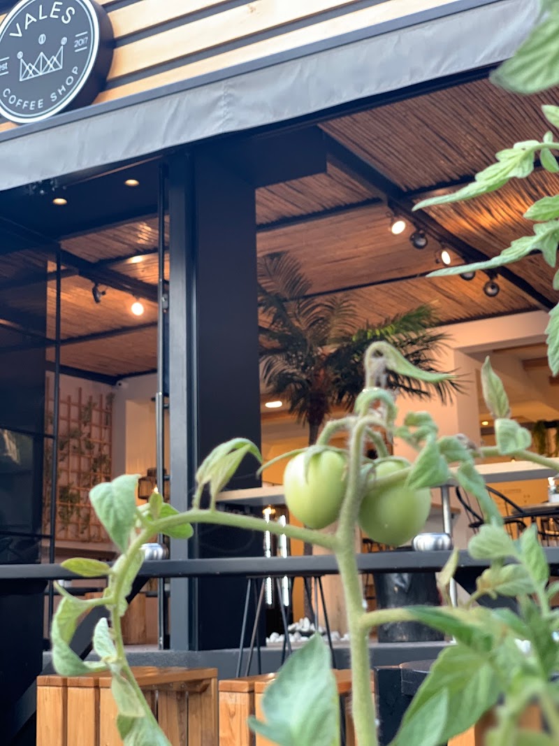 Coffee Shop Vales