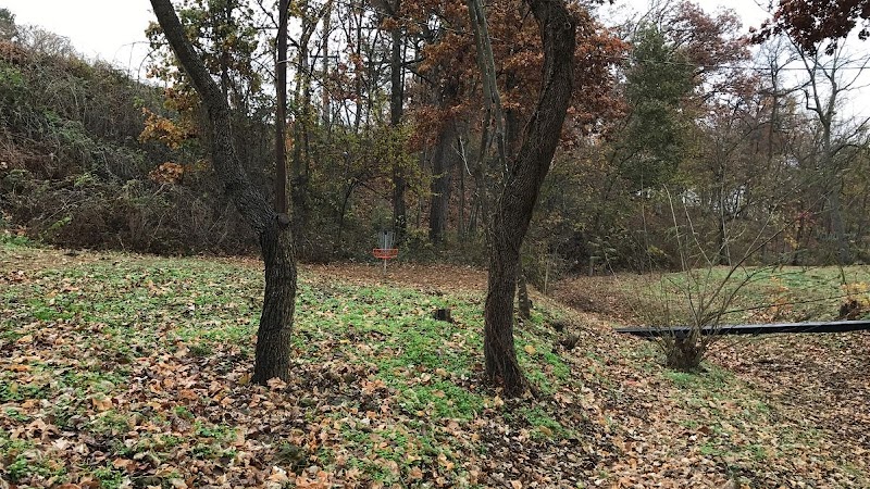 Old Town Park Disc Golf Course photo 1