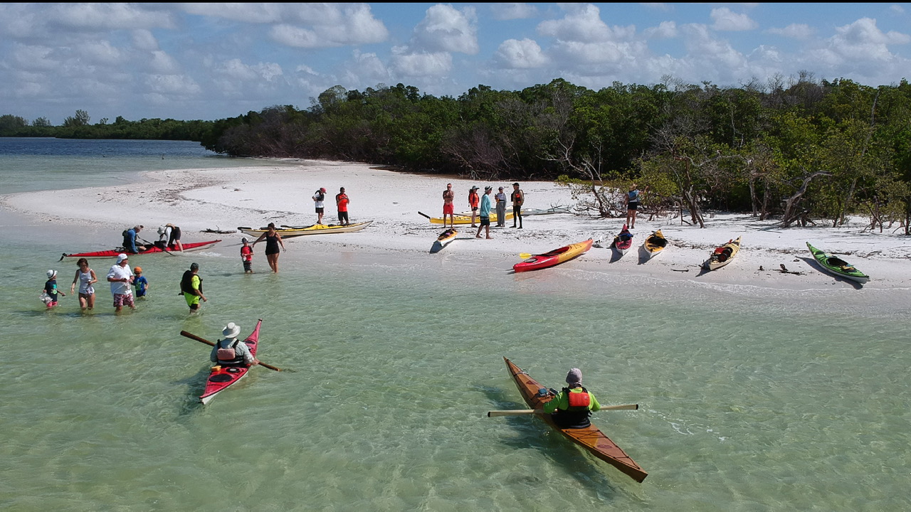 Paradise Coast Kayak Tours