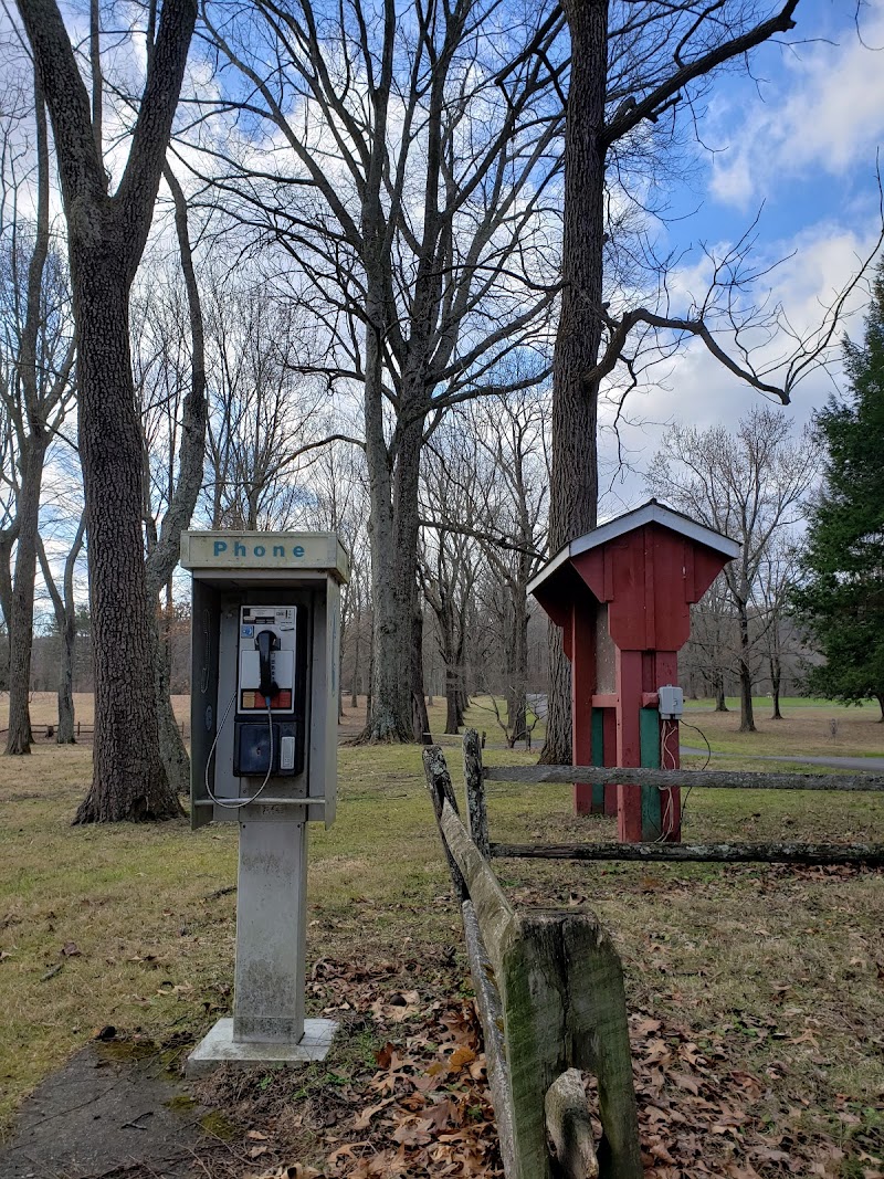 Tinicum Park Disc Golf Course photo 3